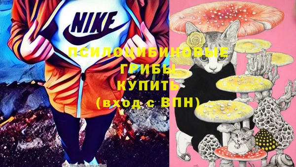 бошки Алексеевка