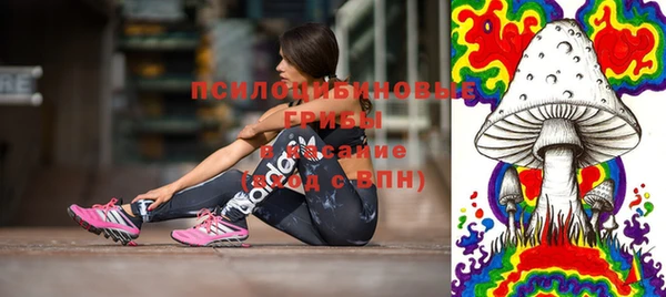 первитин Алексин