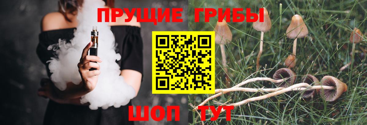 Псилоцибиновые грибы мицелий Шуя