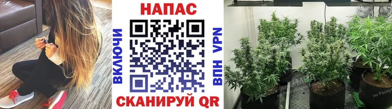 ОМГ ОМГ онион Шуя Бошки Шишки AK-47 даркнет сайт